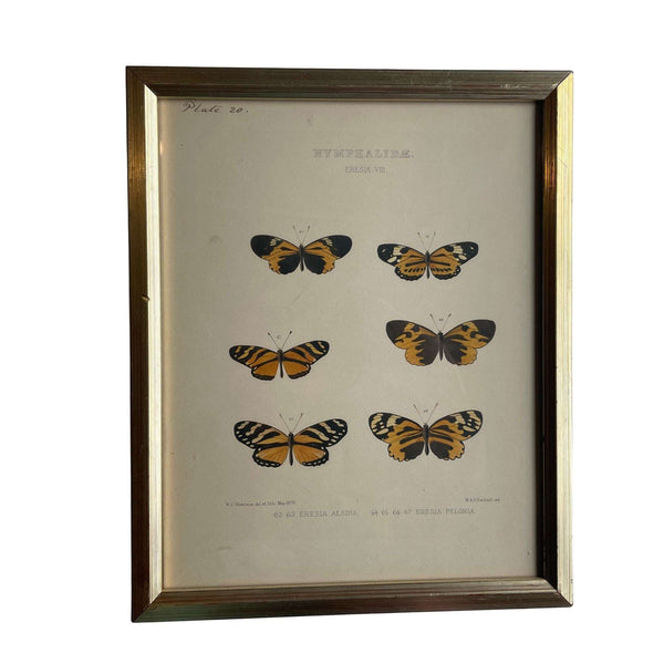 Framed lithograph M & N Hanhart W.C. Hewitson artist