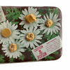 Daisy Fly Killer insecticide tin