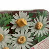 Daisy Fly Killer insecticide tin
