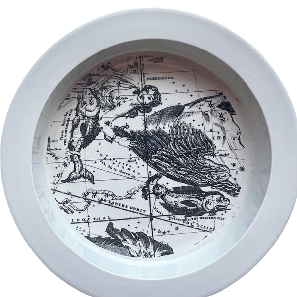 【ギフト】 Pisces Astrology China Iroquois Vintage bowl 1960s (c 工芸品