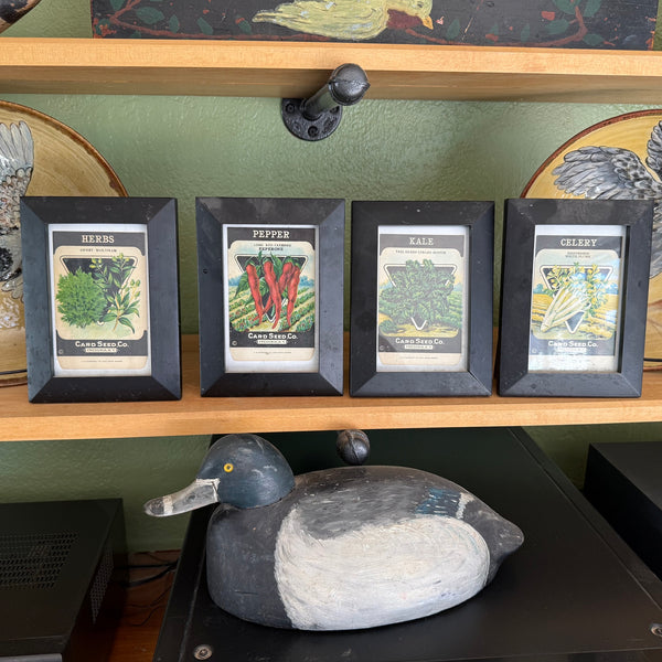 Four framed Fredonia seed packets