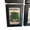 Four framed Fredonia seed packets