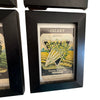 Four framed Fredonia seed packets