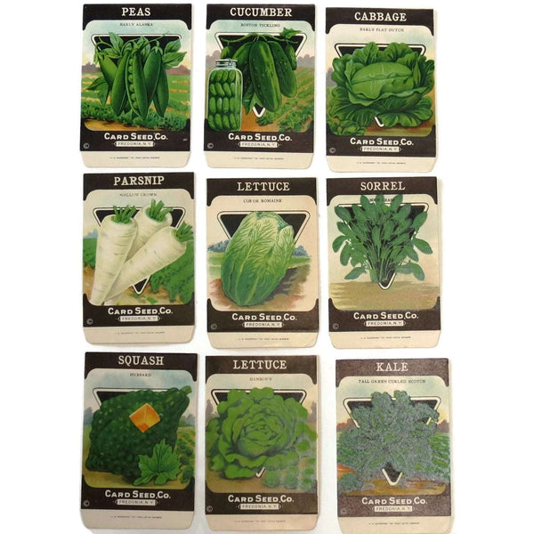 Vintage lot of 9 seed packets by the Card Seed Co. Fredonia NY, unused (c 1920s) - Selective Salvage