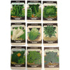Vintage lot of 9 seed packets by the Card Seed Co. Fredonia NY, unused (c 1920s) - Selective Salvage