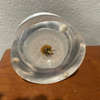 Vintage lucite dandelion paperweight