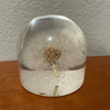 Vintage lucite dandelion paperweight