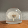 Vintage lucite dandelion paperweight