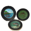 Vintage folk art painted fish plates, set of 3, signed Nellie B. Fish - Selective Salvage