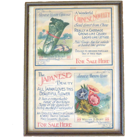 Vintage "Burts Seeds" labels, advertising ephemera , framed (c 1910s) - Selective Salvage