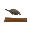 Vintage Armadillo Nodder (c 1940s) - Selective Salvage